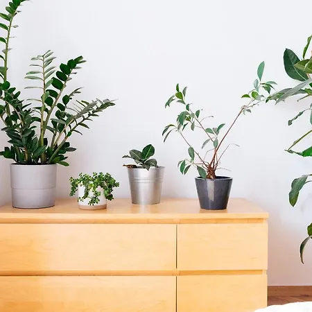 Apartman Comfortable & Spacious Center