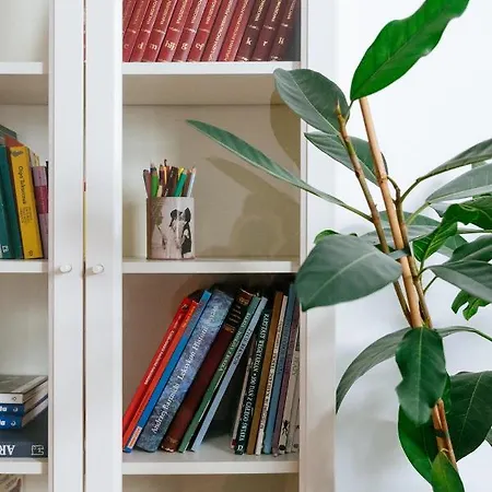 Comfortable & Spacious Center