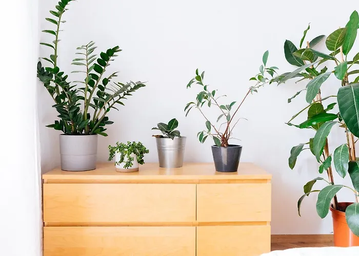 Lejlighed Comfortable & Spacious Center