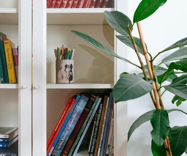 Comfortable & Spacious Center